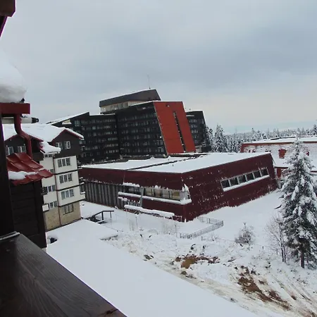 Boyika Iglika 2 * Borovec