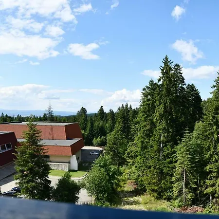 Boyika Iglika 2 Apartment *