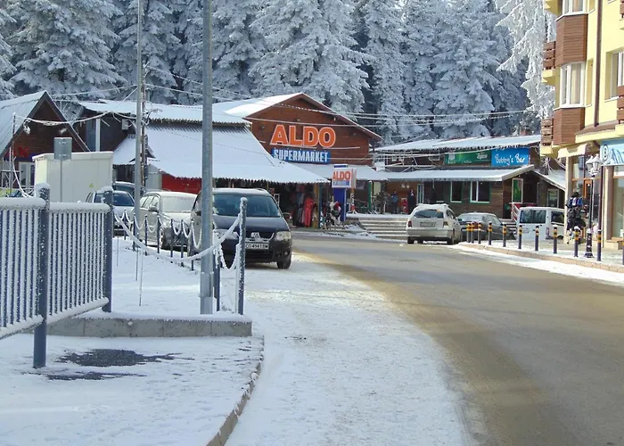 Boyika Iglika 2 * Borovec